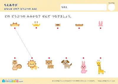 哪个是相同的？ 阶段2 - 预览图