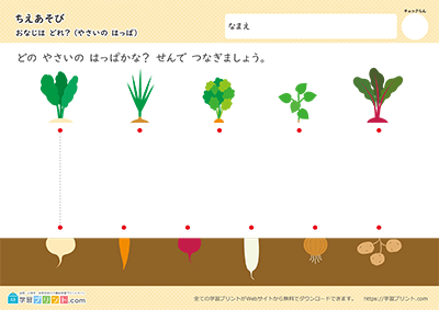 哪个是相同的？ 阶段3 - 预览图